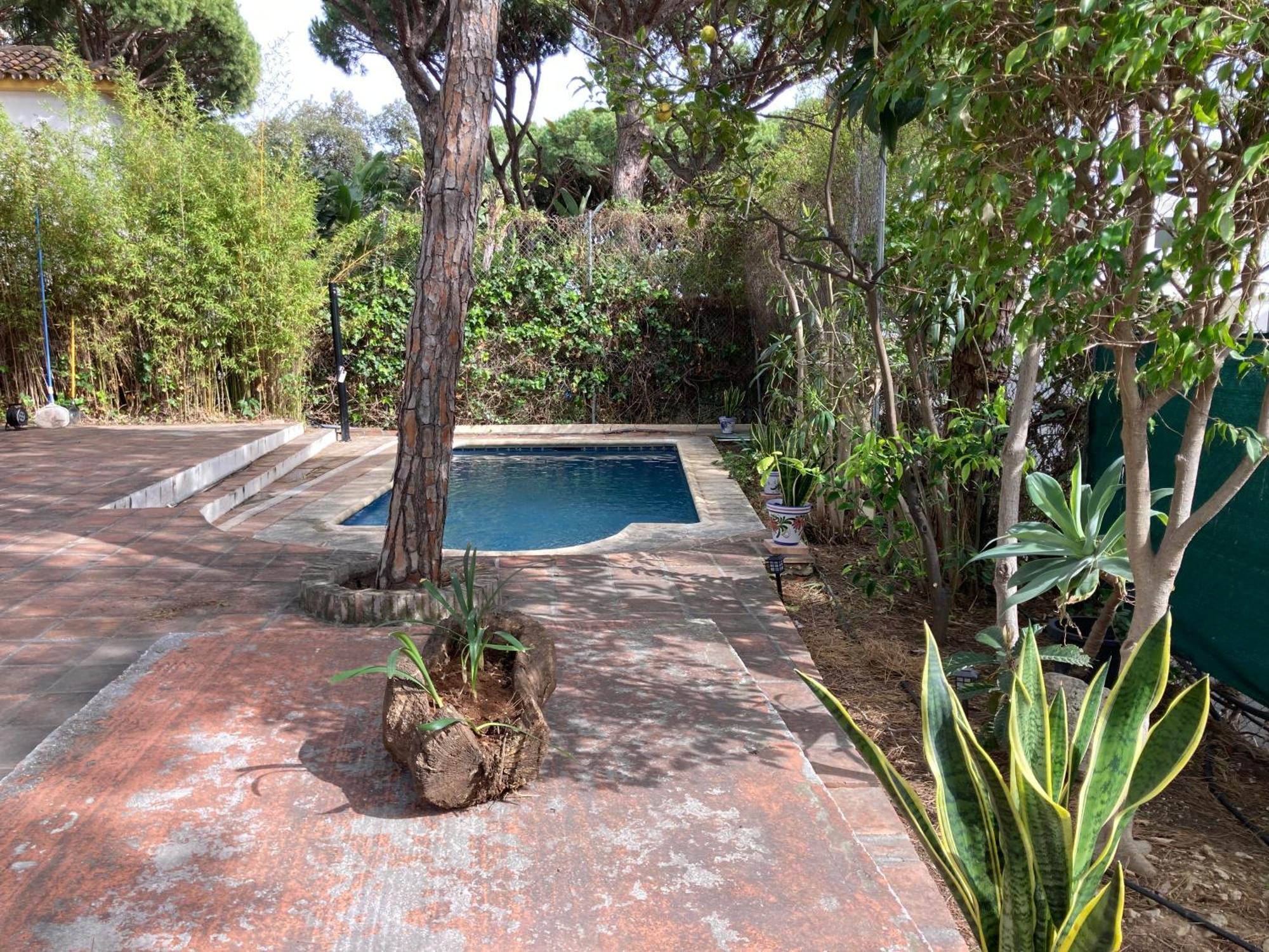 Marbella White Home, Calahonda, By Sol Maestranza Sitio de Calahonda Εξωτερικό φωτογραφία
